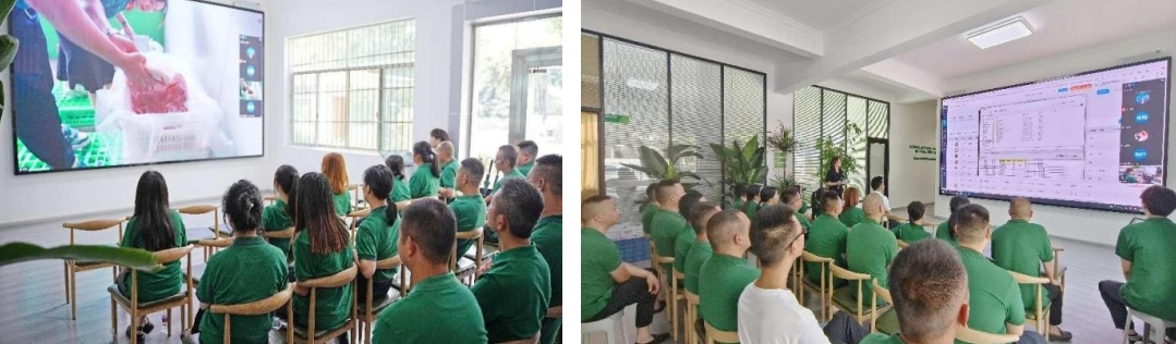 1725520024863899.jpg 1725520024863899.jpg