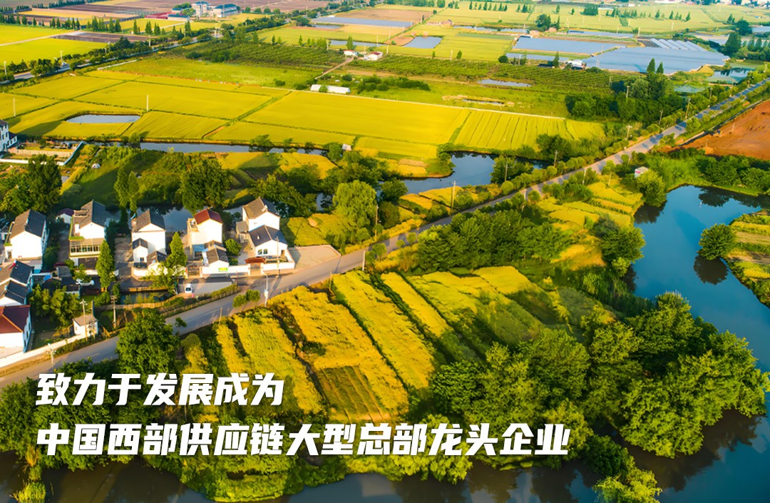 1727703913446966.jpg yn.jpg